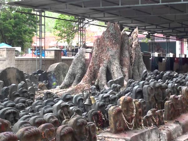 12. తప్పక సంతాన ప్రాప్తి