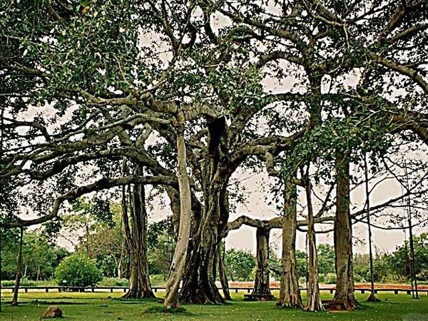 14. మరిన్ని చూడదగిని ప్రాంతాలు...