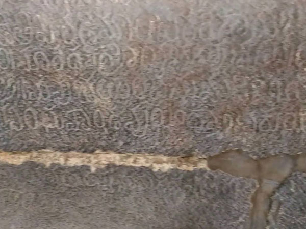 2. ఏడాదిపాటు కష్టపడి