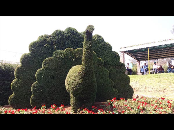 3. చూపుతిప్పుకోనివ్వని టోపోరియా 