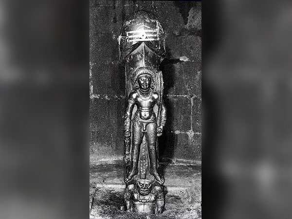 3. పురుషాంగం ఆకారంలో