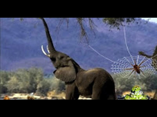 3. ఆ మూడింటి పేరు పై