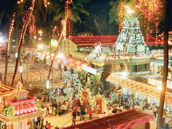 4. సంక్రాంతి సమయంలో....