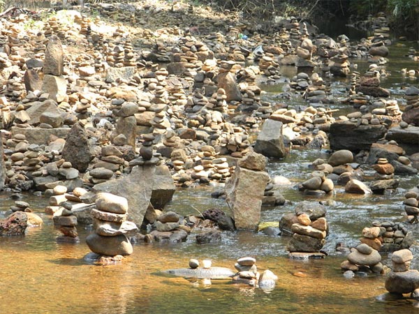 4. చర్మరోగ నివారిణి