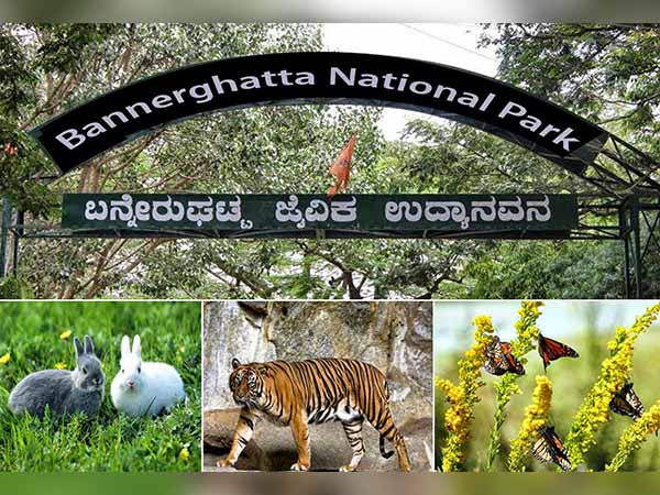 5.బన్నేరుగట్ట నేషనల్ పార్క్... 