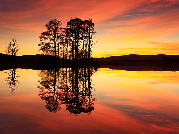 5. ప్రకృతి సోయగాలను బంధిస్తే