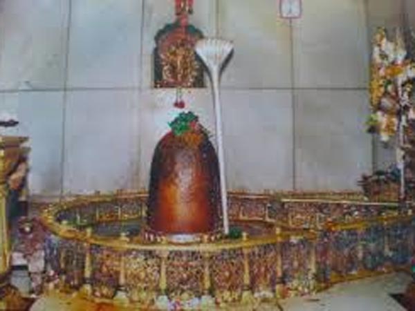 5. నాగుల పంచమి రోజు మాత్రమే దర్శనం