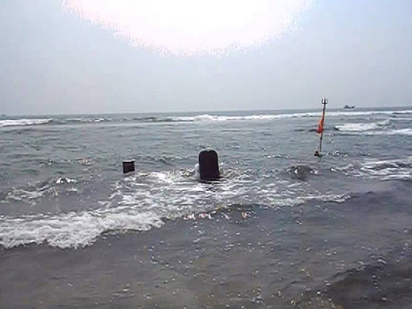 5. ఒడ్డుకు చేరే పూలు