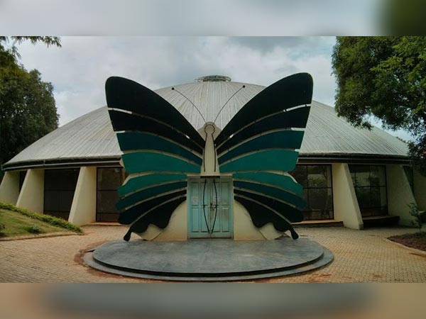 6. ప్రతి గంటన్నరకు ఒక మారు సఫారీ... 