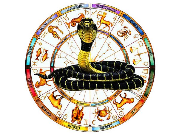 6. ఇది విధానం