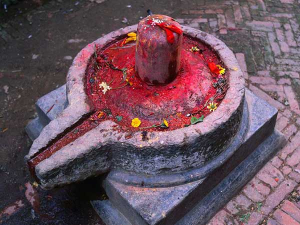 7. లింగం పై రెండు రంధ్రలు