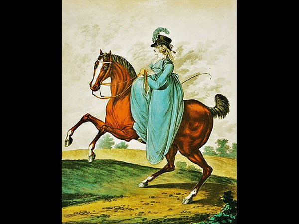 8. జరిగిన విషయం మొత్తం వివరించింది. 