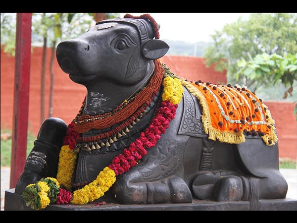 8. నాలుగు నందులు 