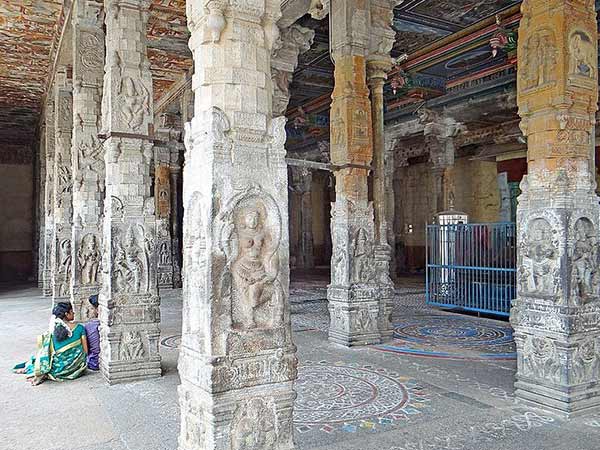 1. తిల్లై చెట్లతో కూడిన వనం