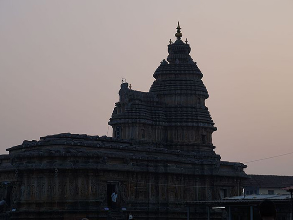 పాము పడగ నీడన కప్ప