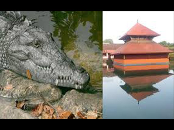 10. దీని చూడటానికే