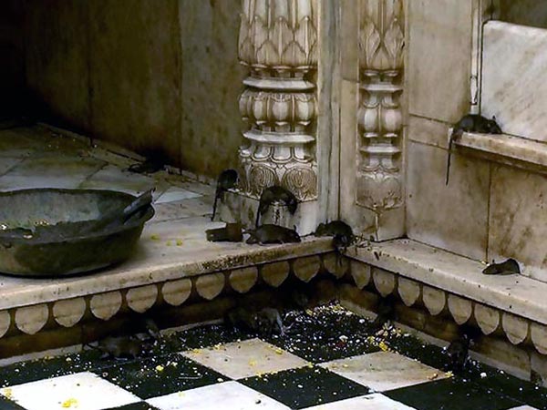 11.ఓపికగా ఎదురు చూస్తారు