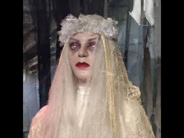 11. ఏకాంతంగా గడుపుతారు. 