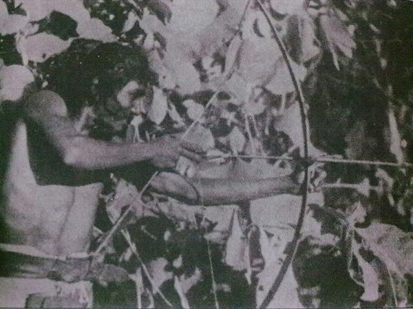 11. ఇక్కడ ఉండేదంతా చెంచులే