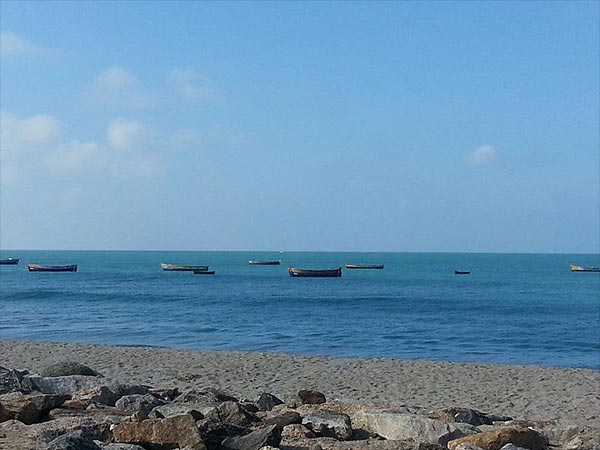 12. ధనుష్కోటిలో ఇప్పటికీ లభ్యం