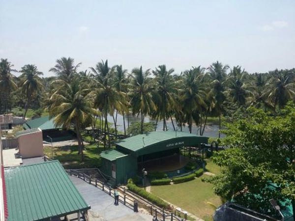 13. ఎక్కడ ఉండాలి