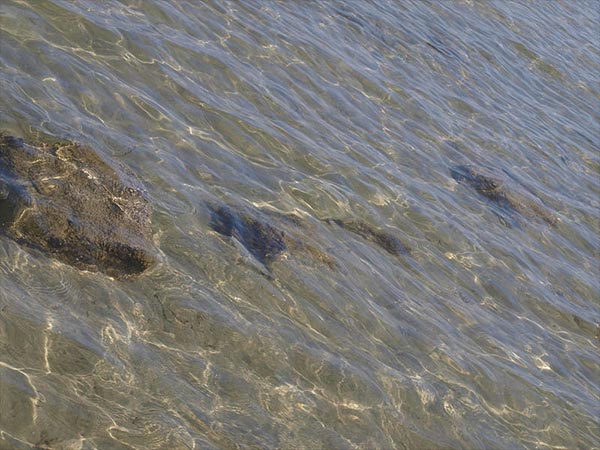  13. అందుకే ఆ పేరు