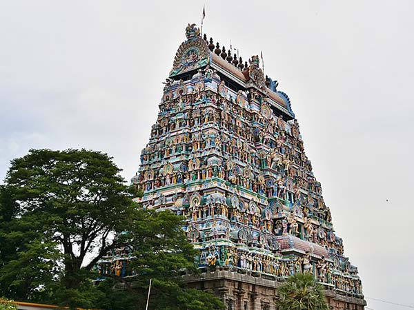 15.నీడ మనవెంటే..