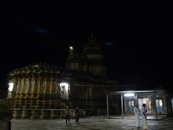 పాము పడగ నీడన కప్ప