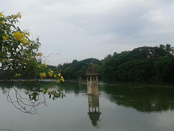 16. అమృతభాండము ఇక్కడే ఆగింది