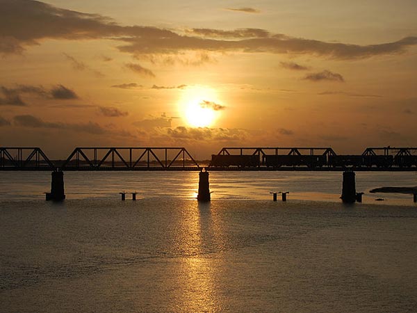 పాము పడగ నీడన కప్ప