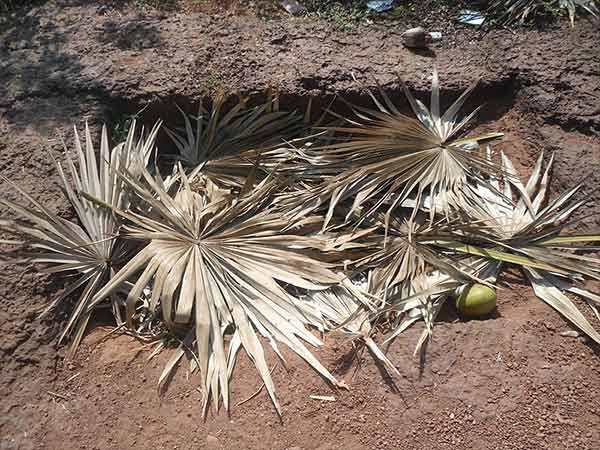 2.ద్రౌపది రజస్వల చాప