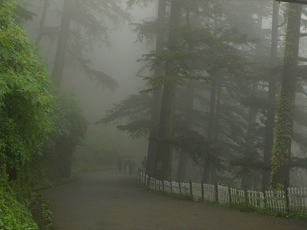 3. సింమ్లా