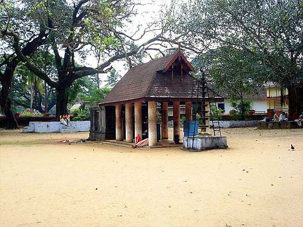 4. ఐదు శిరస్సుల పాము