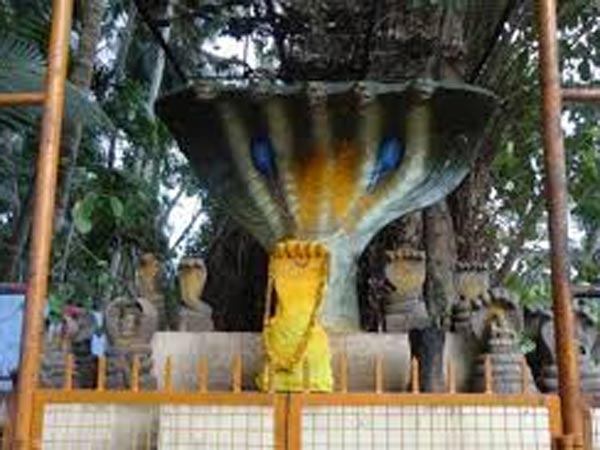 5. మున్నార నాగరాజ దేవాలయం 