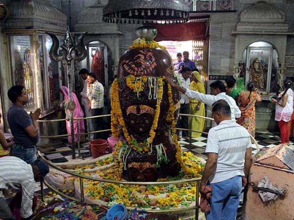 5.ఆదాయం పెరుగుతుంది. 