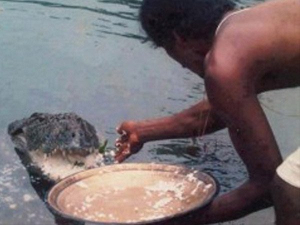 6. ప్రతి రోజూ ప్రసాదం