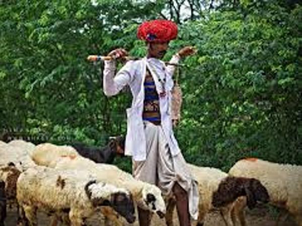 6. ఆకాశం మొత్తం తనకు నీడ అని 