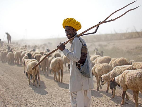7. దొంగల భయం లేదు