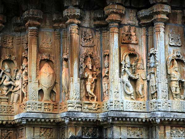 పాము పడగ నీడన కప్ప