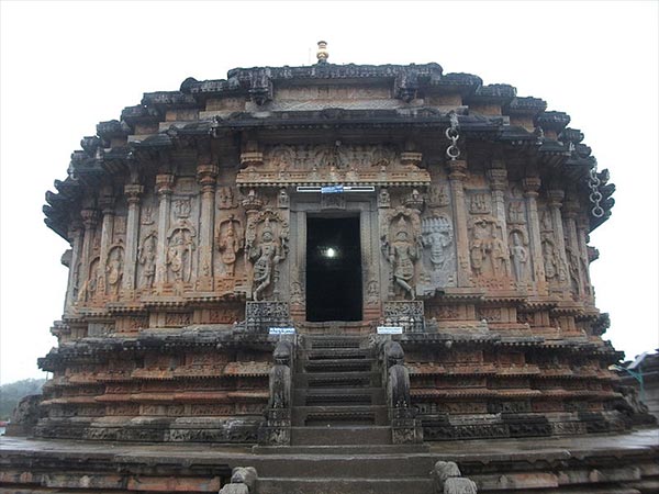 పాము పడగ నీడన కప్ప