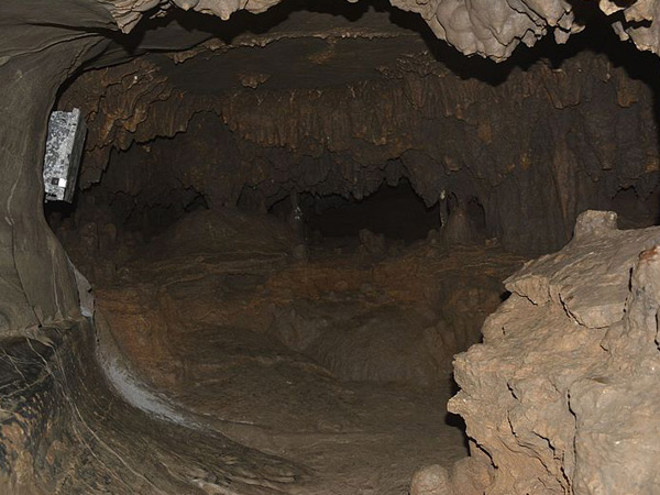 8.అనేక అవశేషాలు