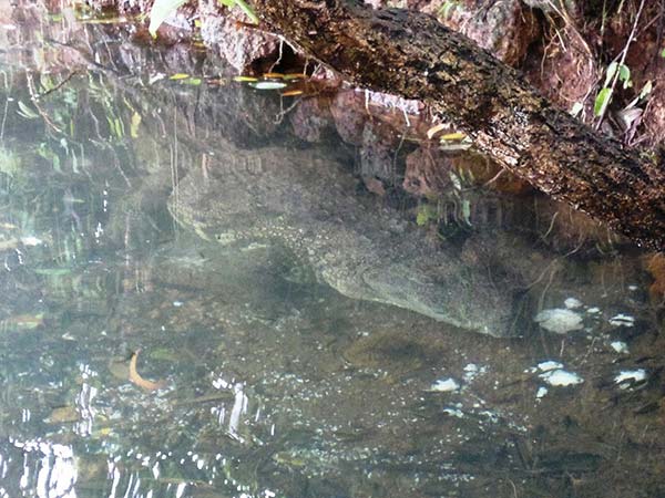 ఎవరూ హాని తలపెట్టరు