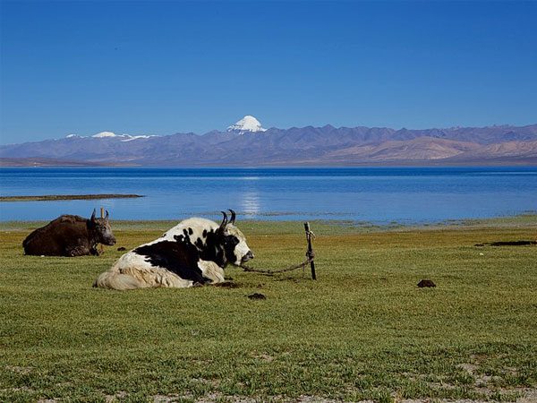 1. ఐదు సరోవరాల్లో