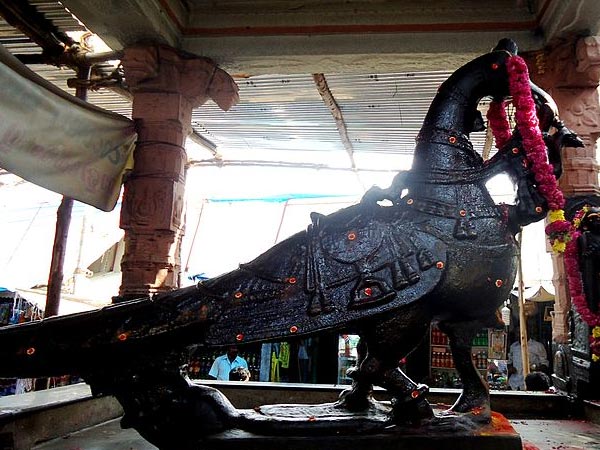 11.ఎంత ప్రయత్నించినా