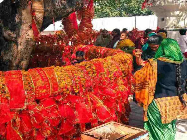 11. హరిద్వార్ కు దగ్గరగా