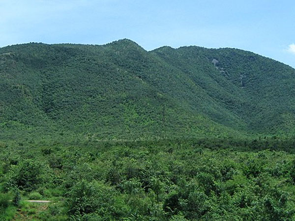 15. కౌండిన్య వన్యప్రాణి సంరక్షణ