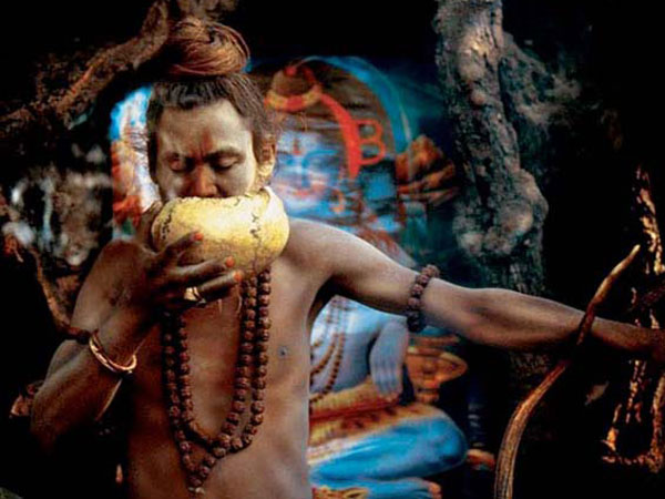 17. పుర్రెలు