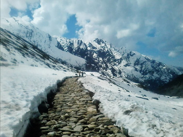 18. ఆన్ లైన్ లో కూడా