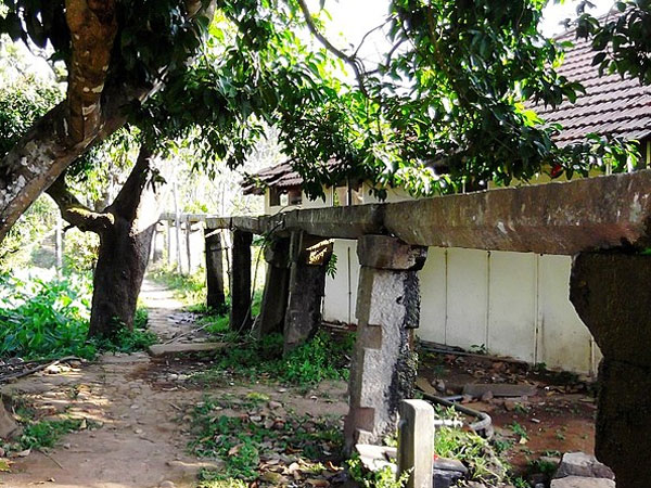 19. విదేశాల నుంచి కూడా