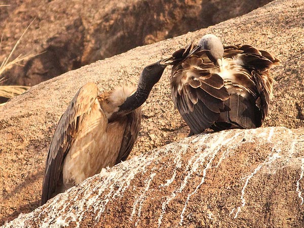 2. రామనగర